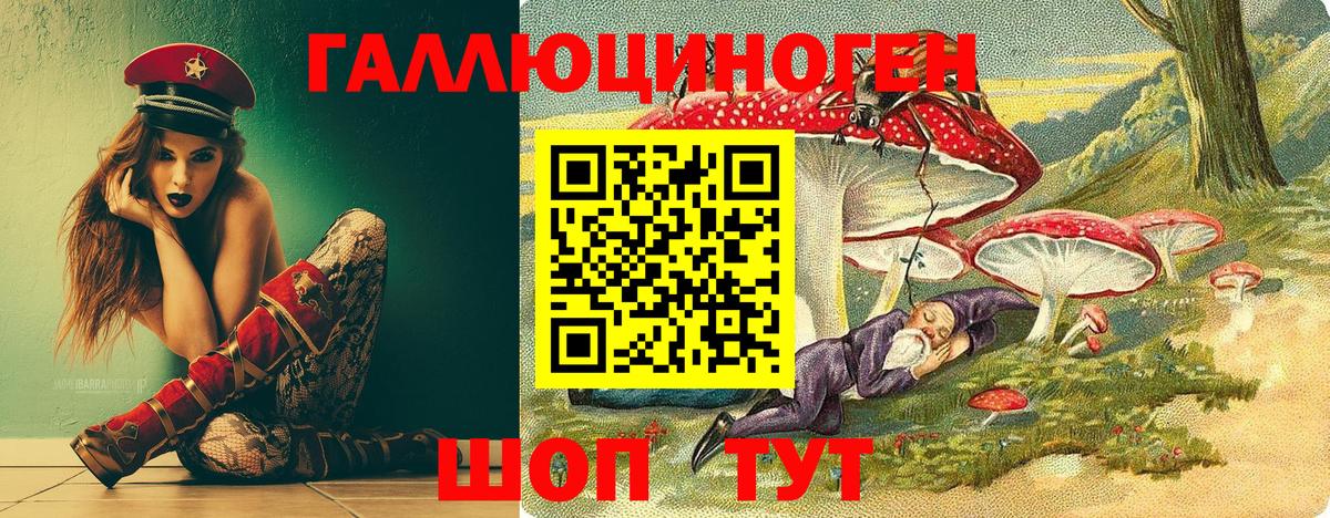 Псилоцибиновые грибы MAGIC MUSHROOMS Сланцы